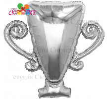 Кубок серебро