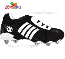 Спортивные кеды